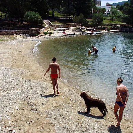 Hébergement de vacances House With A Swimming Pool Stari Grad, Hvar - 17911 *