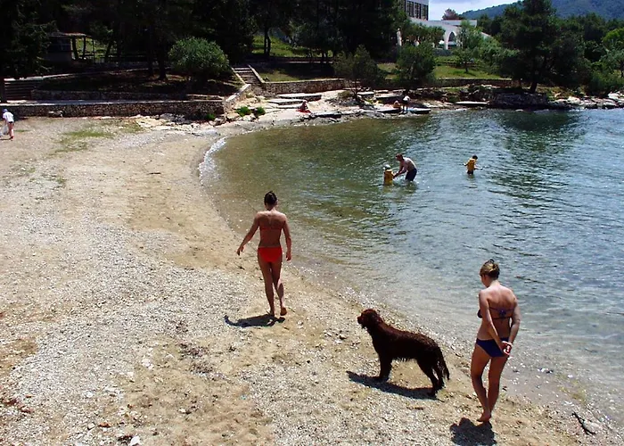 Σπίτι διακοπών House With A Swimming Pool Stari Grad, Hvar - 17911 *