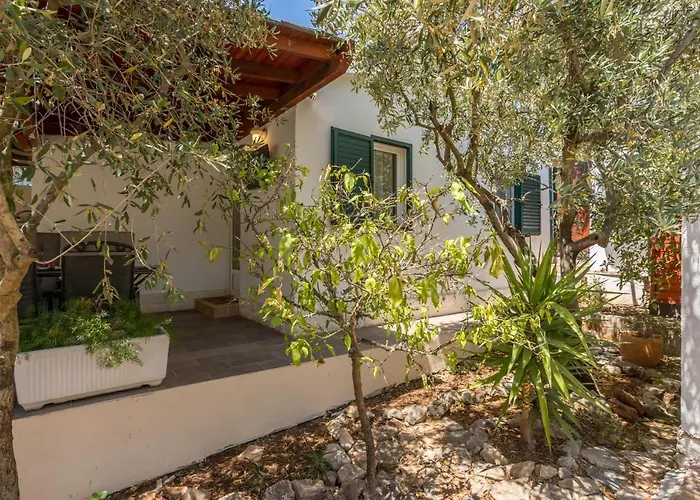 House With A Swimming Pool Stari Grad, Hvar - 17911 Σπίτι διακοπών *